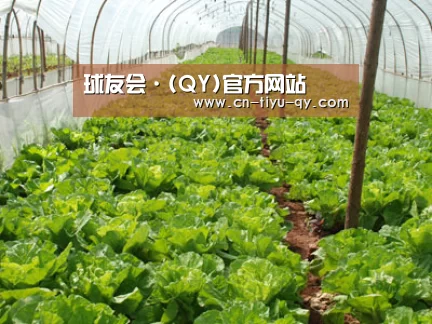 种植基地五