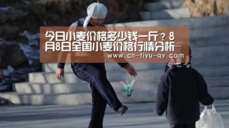 今日小麦价格多少钱一斤?8月8日全国小麦价格行情分析-球友会·(QY)官方网站(图4) 球友会